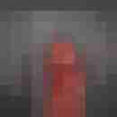 redhornet1