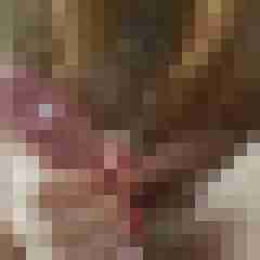 Couple_wz