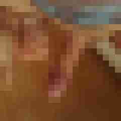 patte83