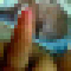 MrCock86