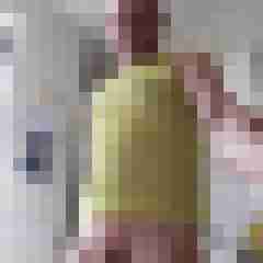 Hengst1031