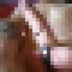 rolfblond