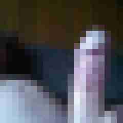 Ralle57