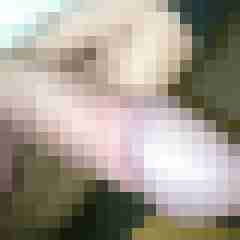 burri