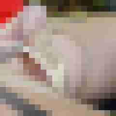 15 Bilder von Haumphrey