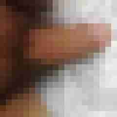 fireadler