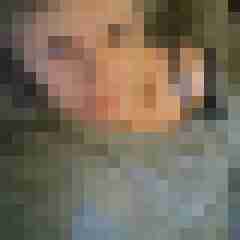 Mistbiene