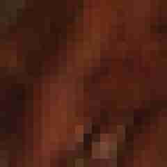 Timg