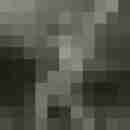 Phorus
