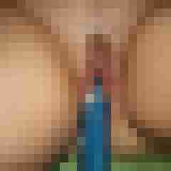 arschstute