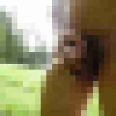 fireadler