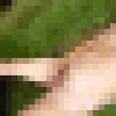 fireadler