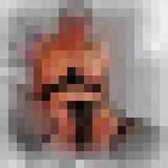 Toddel