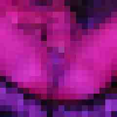 seemann0706