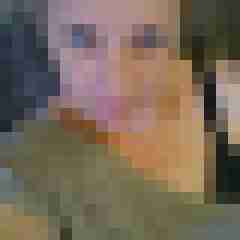 Mistbiene