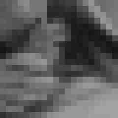 Photograph03