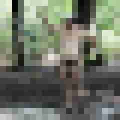 stierodin53