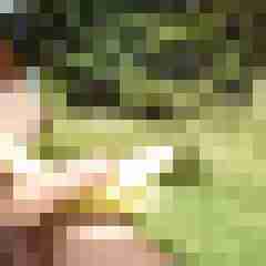 fireadler