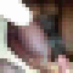 Diesaupete