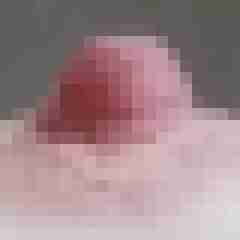 Lavoo