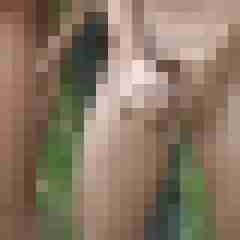 Diesaupete