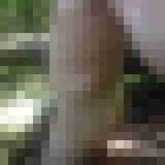 exib1