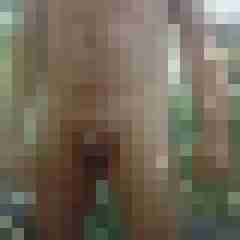 exib1