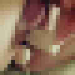 fickpaar55