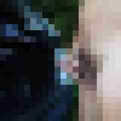 fireadler