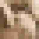 Pichunter66