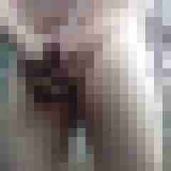 exib1