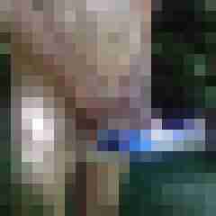 exib1