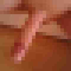 patte83