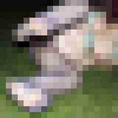 Nylongeiles_Paar