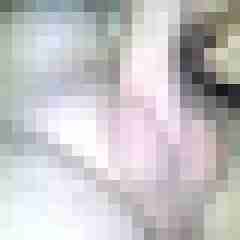 Hutzfeld