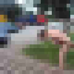 publicstute