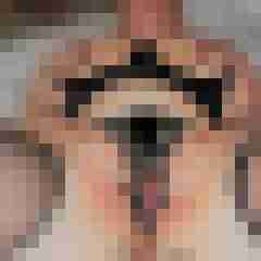Toddel