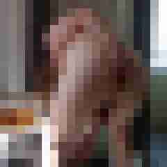 LiebeBisex
