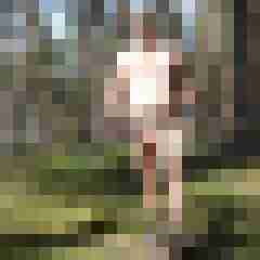 stierodin53