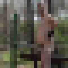 stierodin53