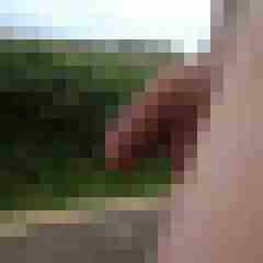 Roban