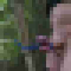 doline