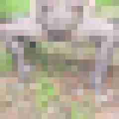 Nylongeiles_Paar