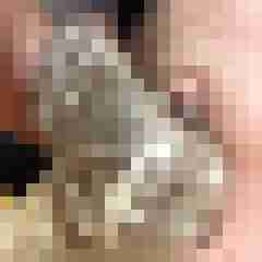Initale
