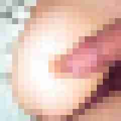 Frankofrank