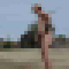 stierodin53
