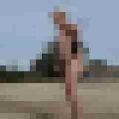 stierodin53