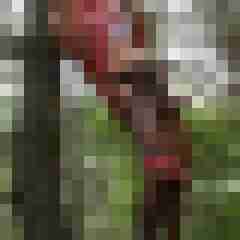 doline