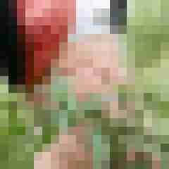 doline