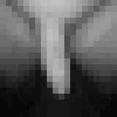Falko79